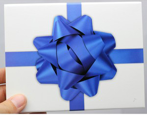 SilverTowne Gift Box with Blue Bow Box Sleeve